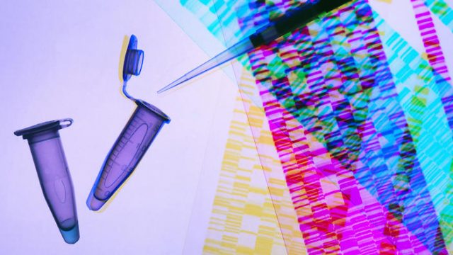 Online DNA Testleri Ne Kadar Doğru?