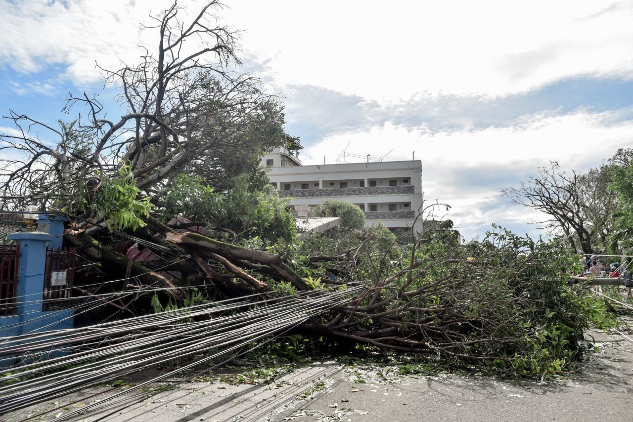 Earthquake and Plants